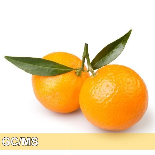Orange-Sweet-甜橙